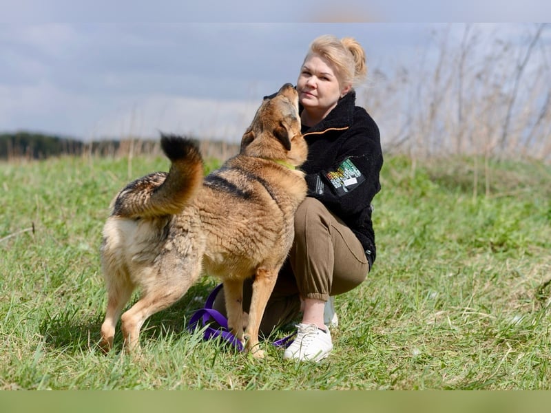 Kolt ❤️ ein Schatz auf vier Pfoten Kolt ❤️ ein Schatz auf vier Pfoten