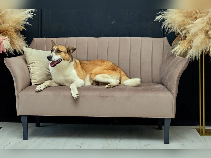 Freundlicher Abenteurer Ushan ❤️ sucht naturverbundene Menschen