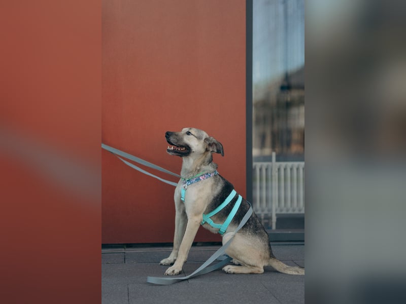 Esmi ❤️ sanfte Seele sucht geduldige Herzensmenschen