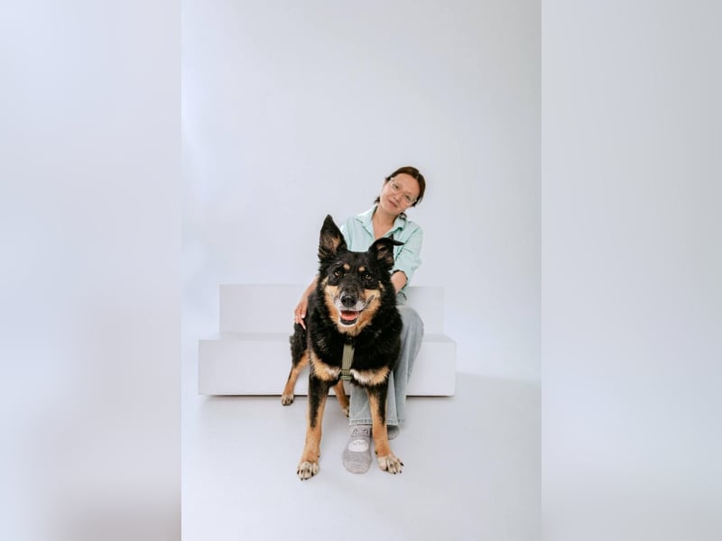Gelassener Baikal ❤️ sucht eine Familie fürs Leben