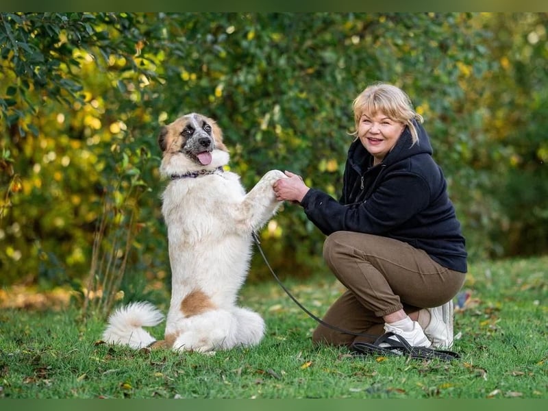 Freundlicher Tierschutzrüde Emelya ❤️ sucht seine Menschen
