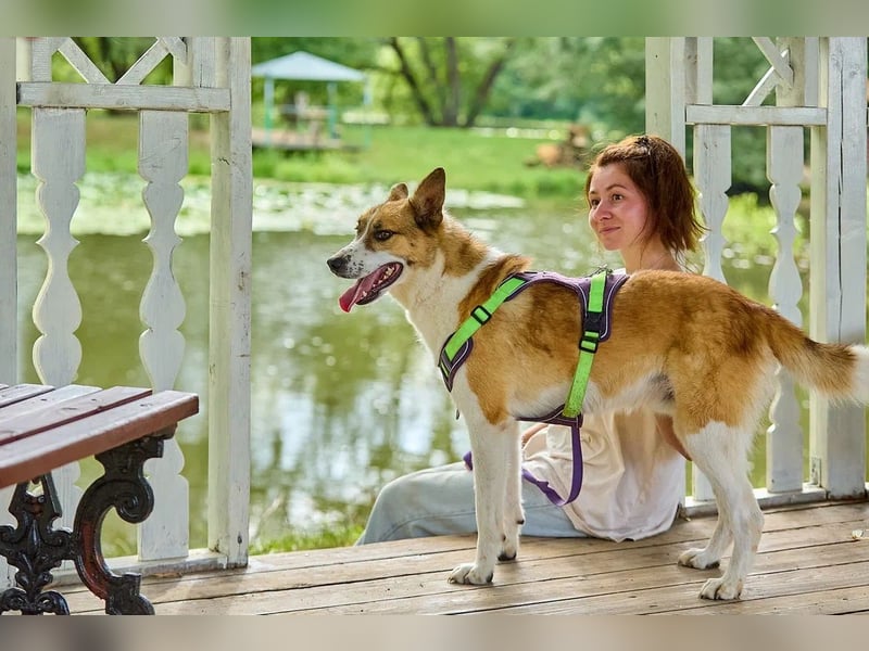 Freundlicher Abenteurer Ushan ❤️ sucht naturverbundene Menschen