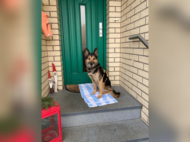 Garry ❤️ wenn Vertrauen Zeit braucht