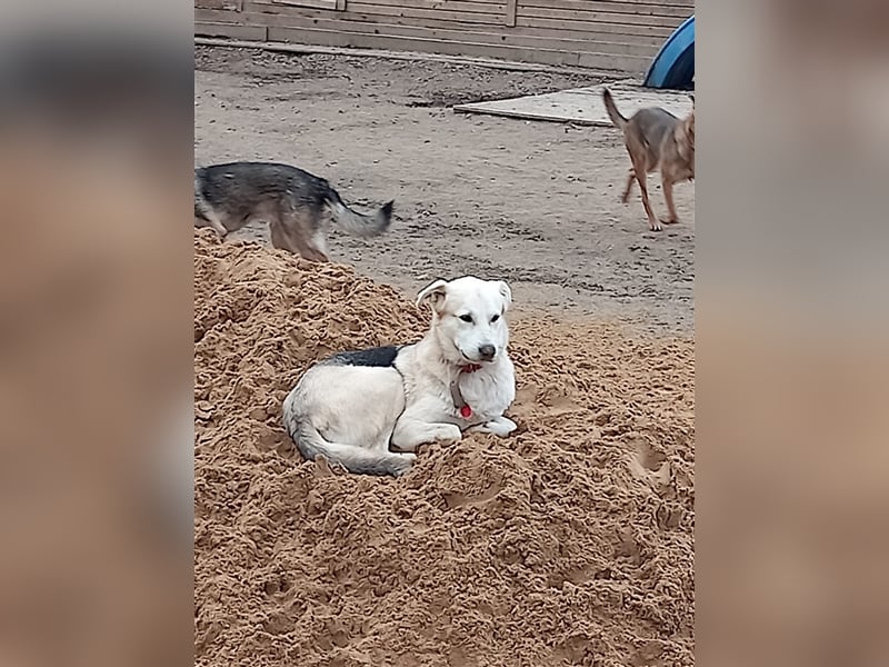 Rem❤️sucht seine eigene Familie