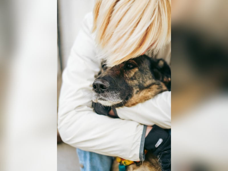 Zauberhafte Zoe ❤️ aus dem Tierschutz sucht ihr Zuhause