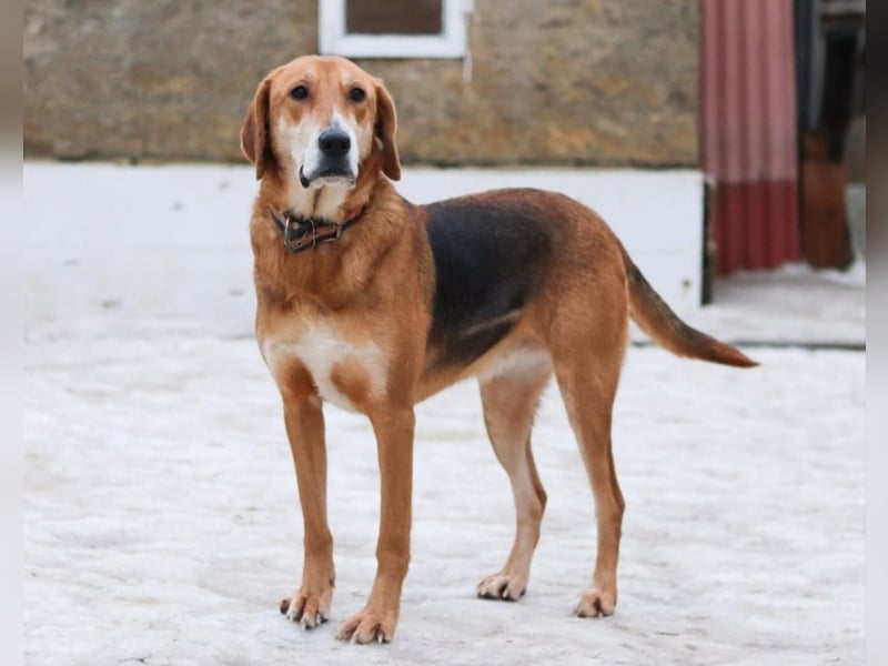 Lebensfrohe Bonita ❤️ sucht liebevolle Menschen fürs Leben
