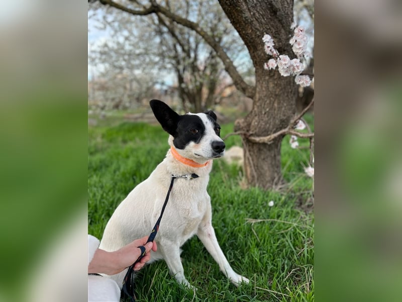 Zauberhafte Elsa sehnt sich nach einer tollen Familie