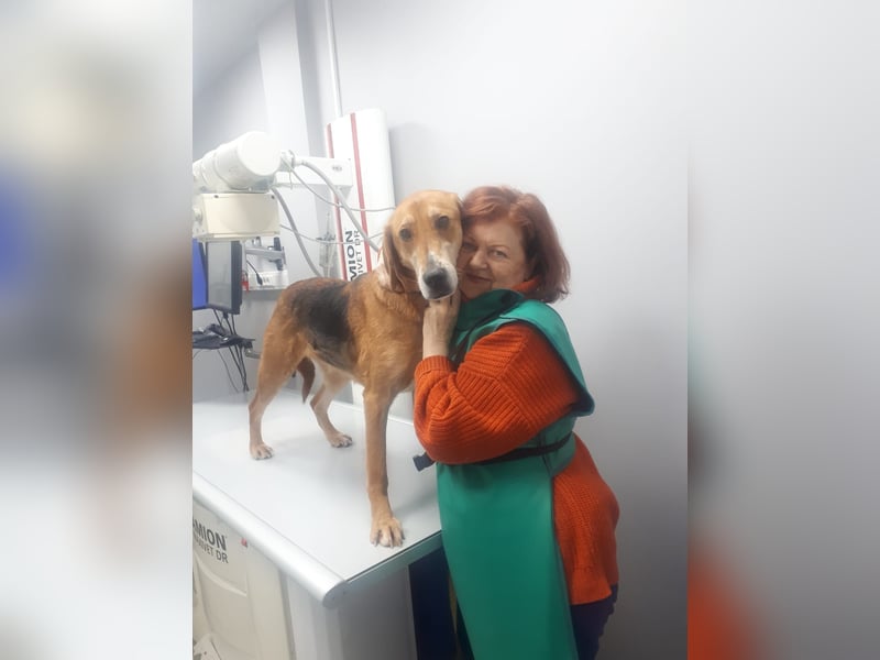 Lebensfrohe Bonita ❤️ sucht liebevolle Menschen fürs Leben