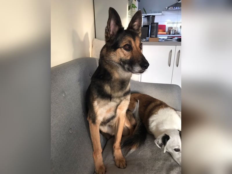 Garry ❤️ wenn Vertrauen Zeit braucht