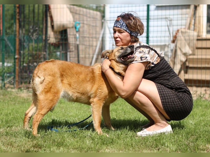 Herzenshündin Cherry ❤️ sucht ihre Menschen