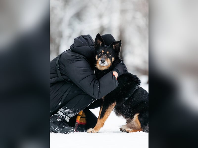 Gelassener Baikal ❤️ sucht eine Familie fürs Leben