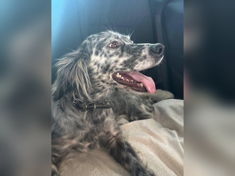 Cora❤️ liebevolle Begleiterin sucht ihr Glück