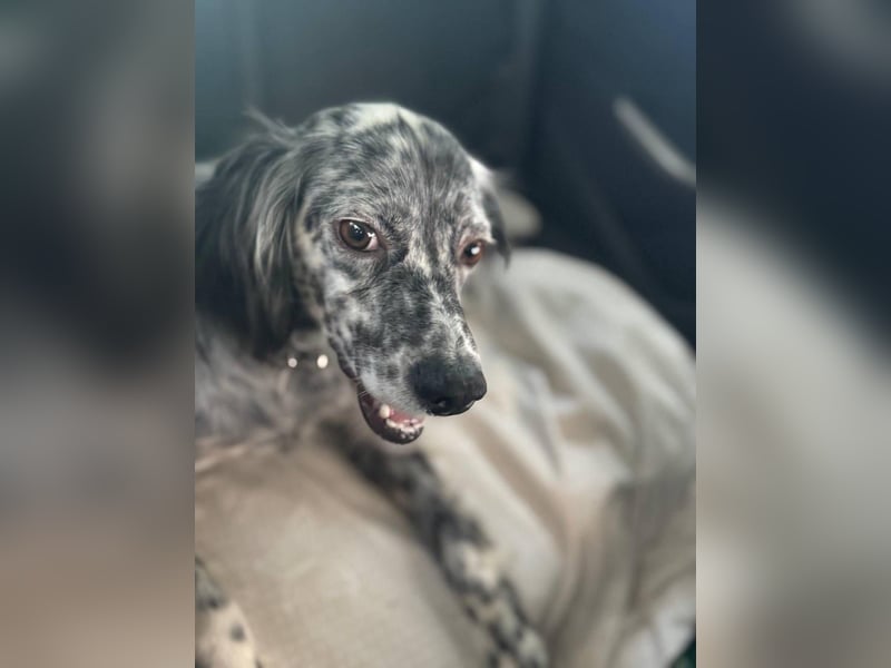 Cora❤️ liebevolle Begleiterin sucht ihr Glück