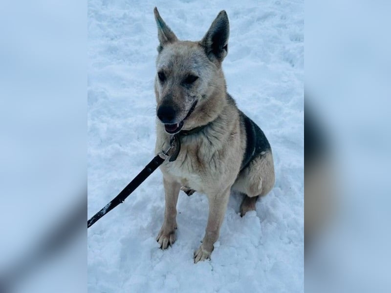 Kumi ❤️ sehnt sich nach ihren Herzensmenschen