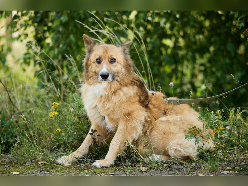 Sanfte Ponochka ❤️ sucht geduldige Menschen