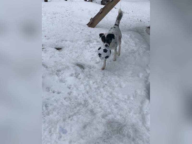 Suri ❤️ wartet auf ihr eigenes Happy End