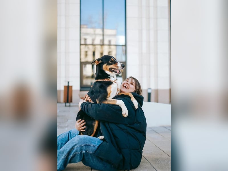Verspielter & freundlicher Archi ❤️ sucht aktive Familie fürs Leben
