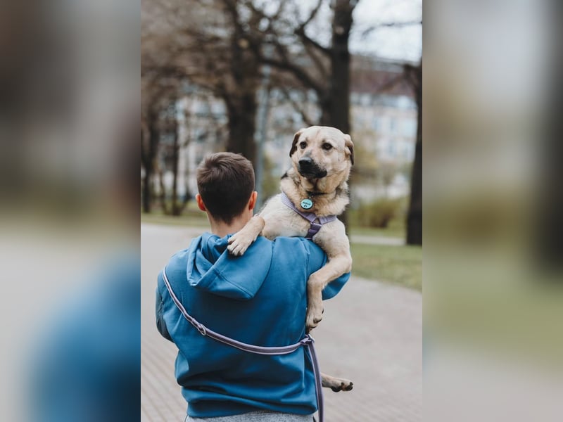 Vincent ❤️ treuer Begleiter sucht Menschen mit Herz und Verständnis