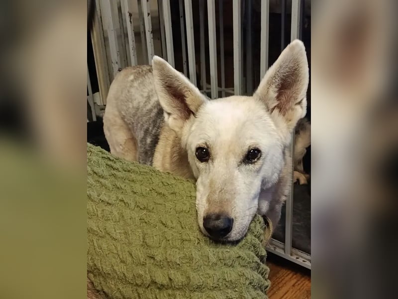 Kumi ❤️ sehnt sich nach ihren Herzensmenschen