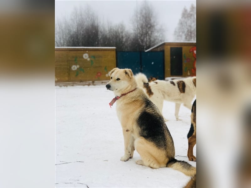 Rem❤️sucht seine eigene Familie