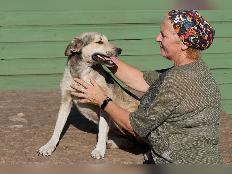 Lusya ❤️ Sanfte Hündin mit großem Herzen sucht ein liebevolles Zuhause