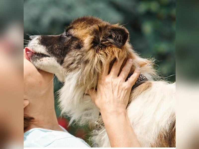 Alma sucht ihren Herzensmenschen  ❤️ klug, treu und voller Liebe