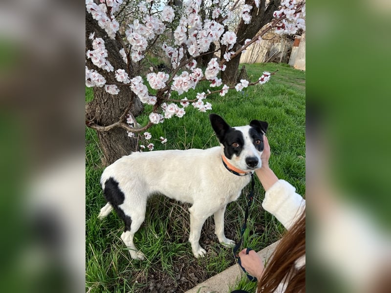 Zauberhafte Elsa sehnt sich nach einer tollen Familie