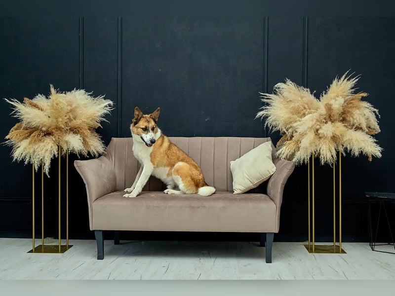 Freundlicher Abenteurer Ushan ❤️ sucht naturverbundene Menschen