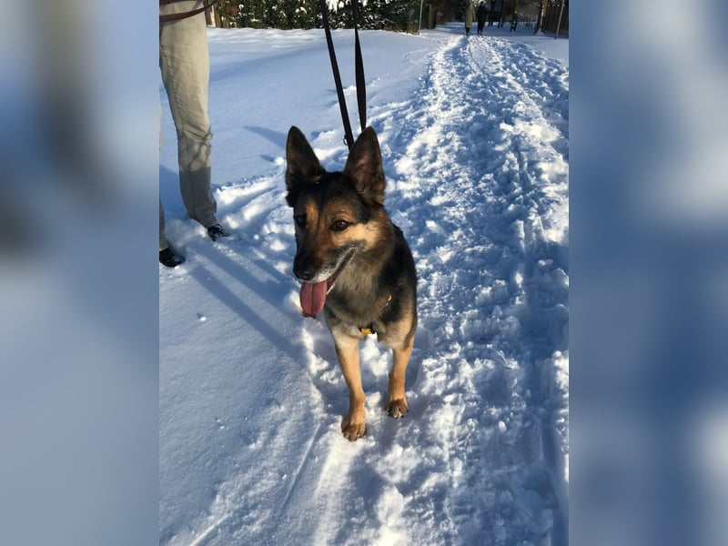 Garry ❤️ wenn Vertrauen Zeit braucht