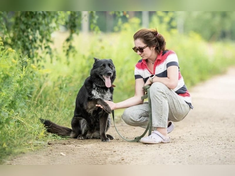 Regina ❤️ Lebensfreude auf vier Pfoten