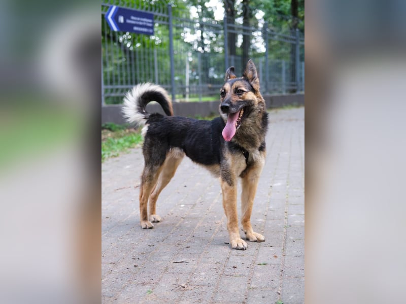 Garry ❤️ wenn Vertrauen Zeit braucht