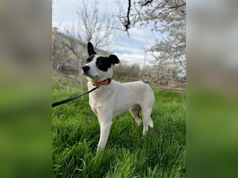 Zauberhafte Elsa sehnt sich nach einer tollen Familie