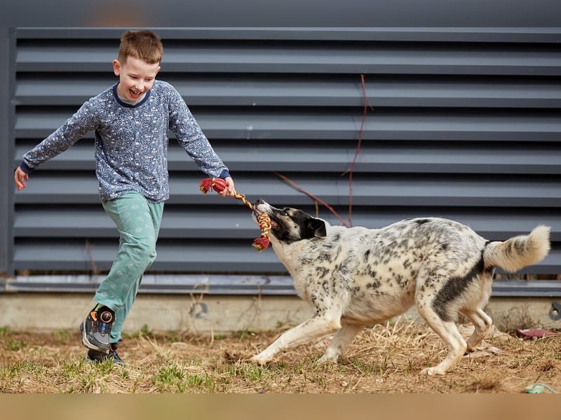 Sanfte Seele Suri ❤️ sucht ihr Für-Immer-Zuhause