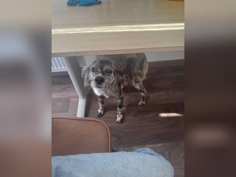 Cora❤️ liebevolle Begleiterin sucht ihr Glück