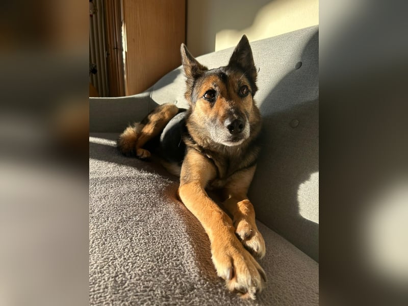 Garry ❤️ wenn Vertrauen Zeit braucht