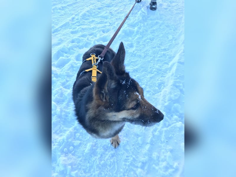 Garry ❤️ wenn Vertrauen Zeit braucht