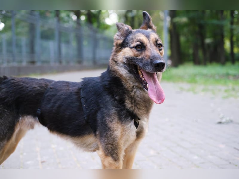 Garry ❤️ wenn Vertrauen Zeit braucht