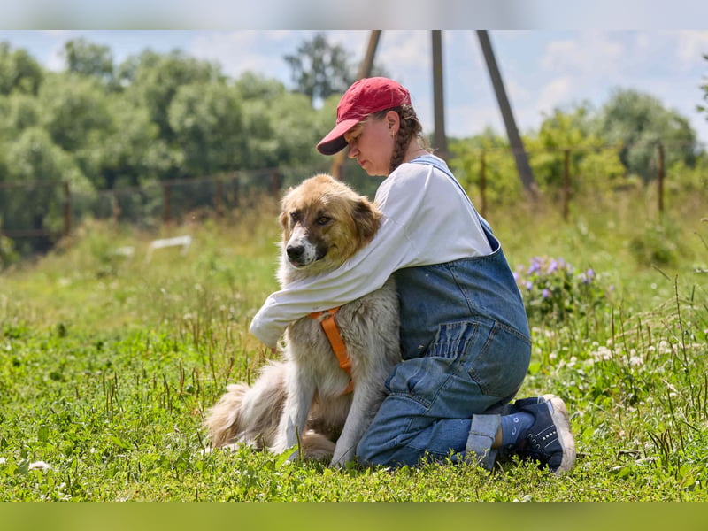 Freundliche verschmuste Beiba ❤️ sucht eine eigene Familie