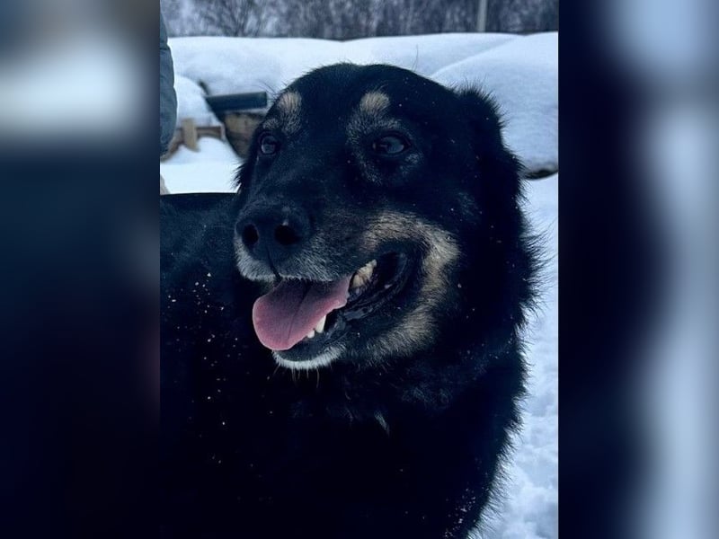 Plusha ❤️Frohnatur sucht Herzensmensch