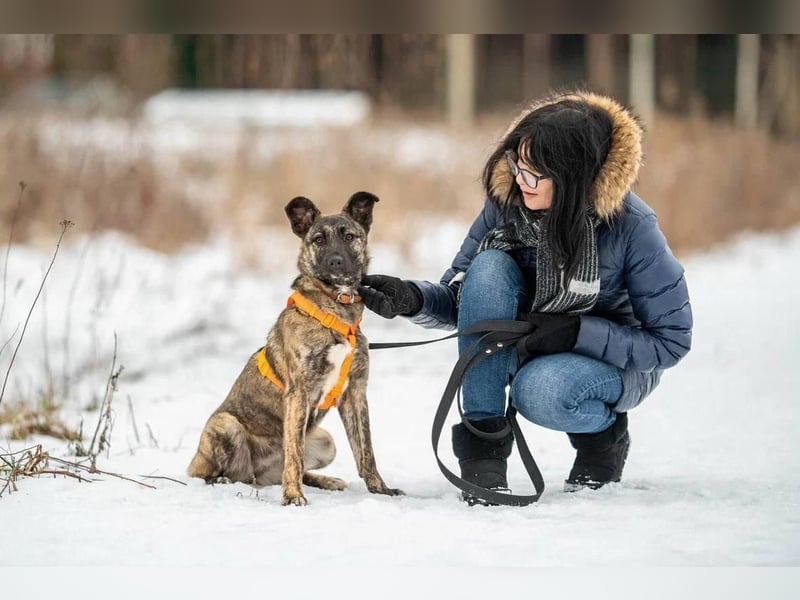 Aktive und lebensfrohe Junghündin Mia ❤️ sucht ein Zuhause mit Bewegung