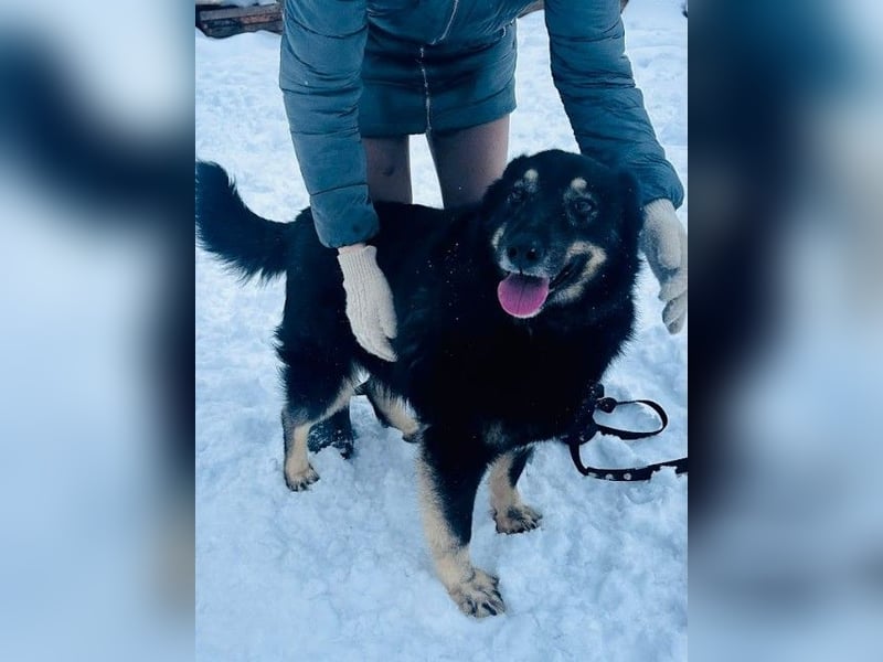 Plusha ❤️Frohnatur sucht Herzensmensch