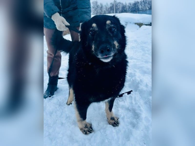 Plusha ❤️Frohnatur sucht Herzensmensch