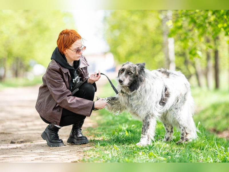 Ruhiger Nielson ❤️ sucht einen entspannten Familienplatz