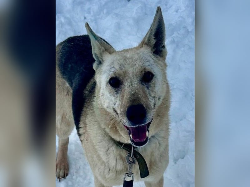 Kumi ❤️ sehnt sich nach ihren Herzensmenschen