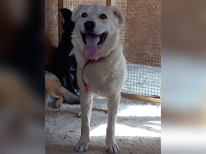 Rem❤️sucht seine eigene Familie