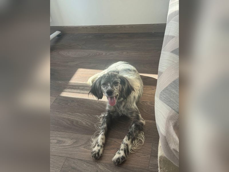 Cora❤️ liebevolle Begleiterin sucht ihr Glück