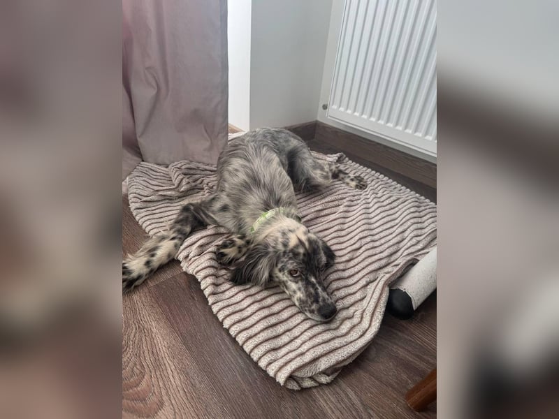 Cora❤️ liebevolle Begleiterin sucht ihr Glück
