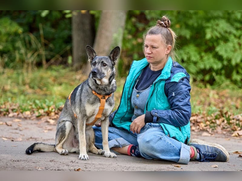 Freundlicher und ausgeglichener Filya ❤️ sucht ein eigenes Zuhause