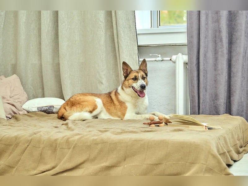 Freundlicher Abenteurer Ushan ❤️ sucht naturverbundene Menschen