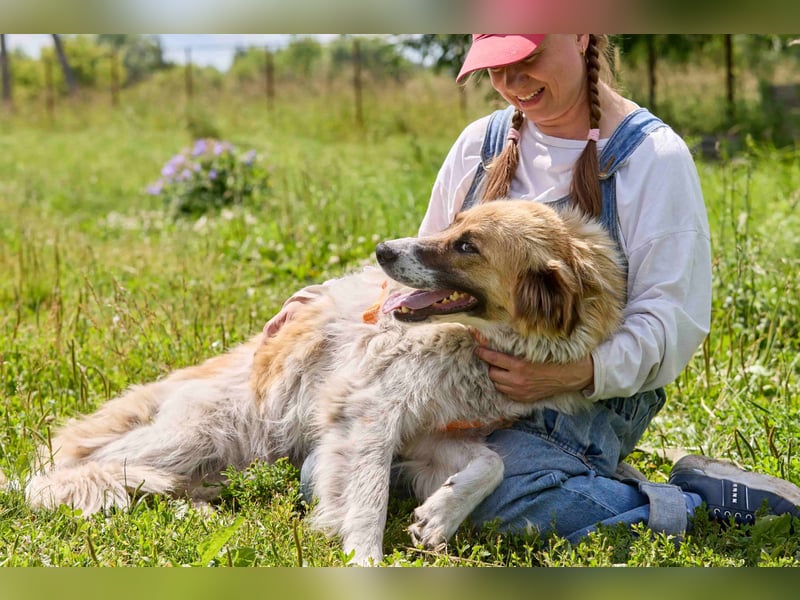 Freundliche verschmuste Beiba ❤️ sucht eine eigene Familie